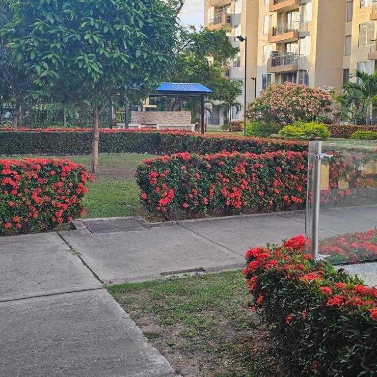 Hacienda Peñalisa Mango - Apartamento de 1 dormitorio - 48