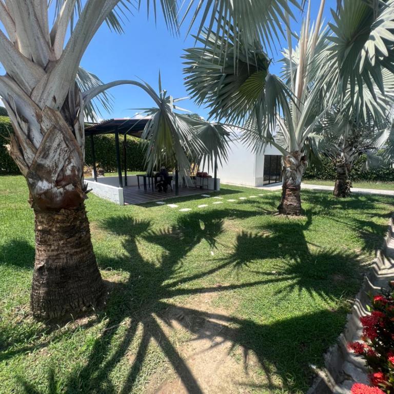 La Isabella - Five-Bedroom House - 21
