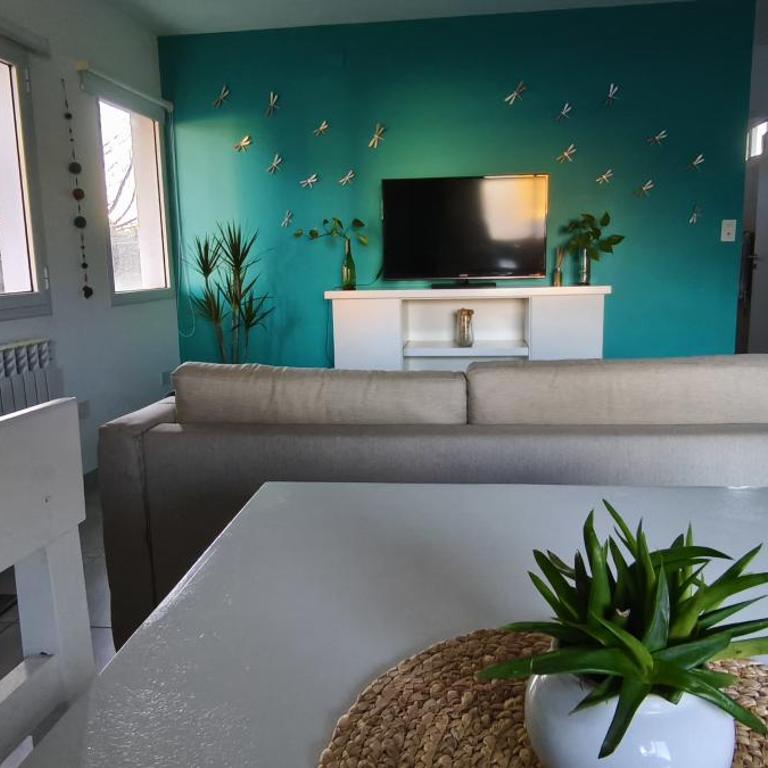 Aves apartment - Apartamento de 1 dormitorio - 12