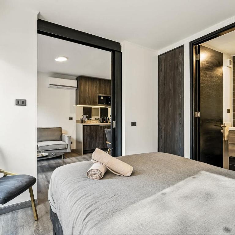 Comodo depto en barrio Yungay con AC - Apartment - 8