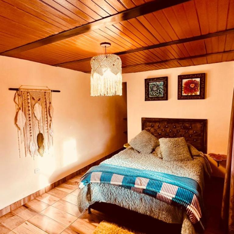 Finca vista verde hostal mágico! - Casa de 8 dormitorios - 10