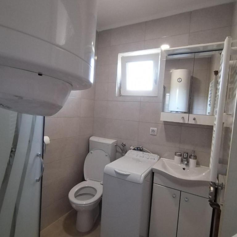 Garsonjere Bijoss - Apartman sa 1 Spavaćom Sobom - 11