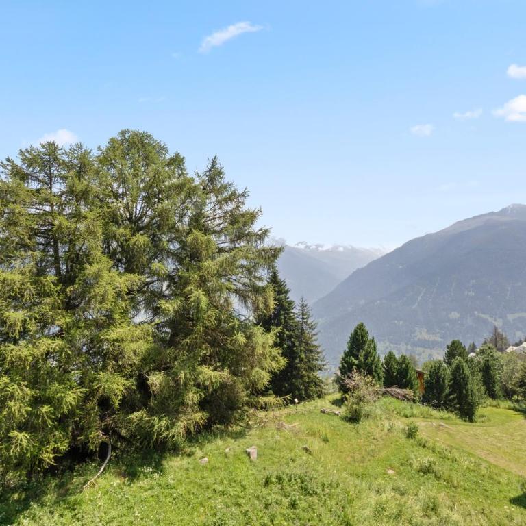 Thyon-les-Collons, 4 pers - Balcon avec vue - Apartment mit 1 Schlafzimmer - 33