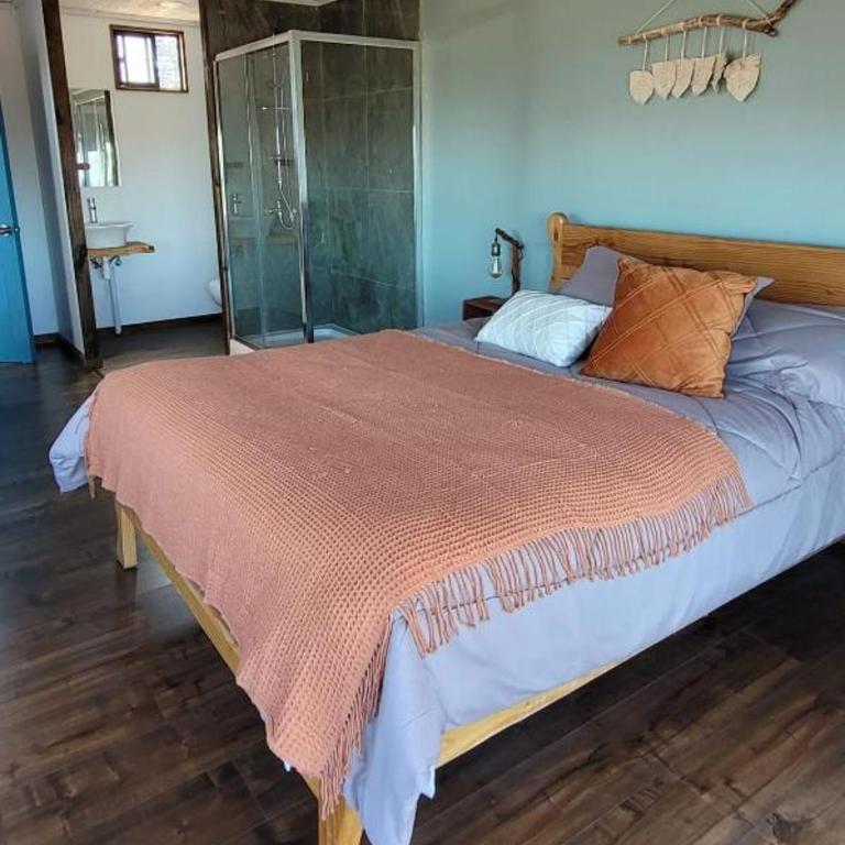 Alto Catrianca - One-Bedroom House - 13