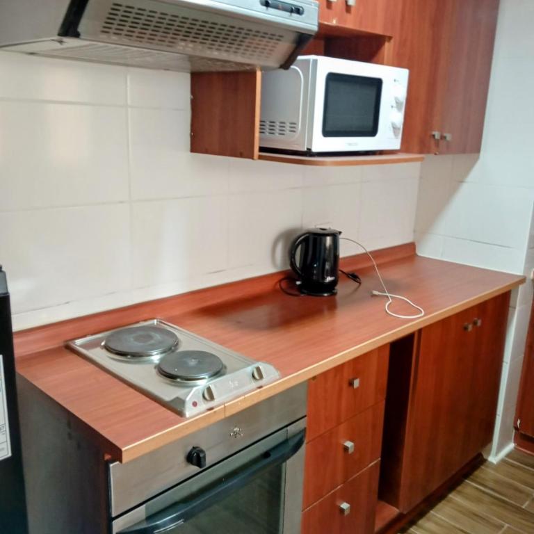 Gran 16 - Two-Bedroom Apartment - 13