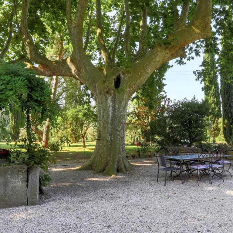 Le Gran Cabano sous les oliviers - Villa avec Piscine Privée - 2