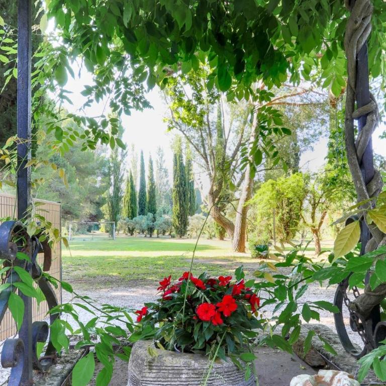 Le Gran Cabano sous les oliviers - Villa avec Piscine Privée - 30