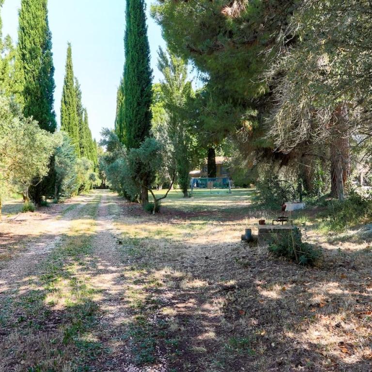 Le Gran Cabano sous les oliviers - Villa avec Piscine Privée - 25