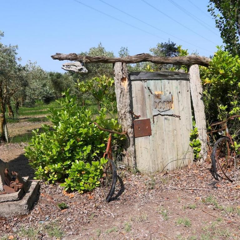 Le Gran Cabano sous les oliviers - Villa avec Piscine Privée - 29