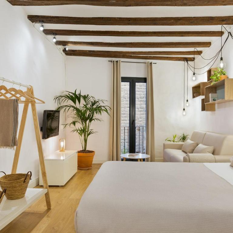 Ola Living Born - Standard Studio - 1