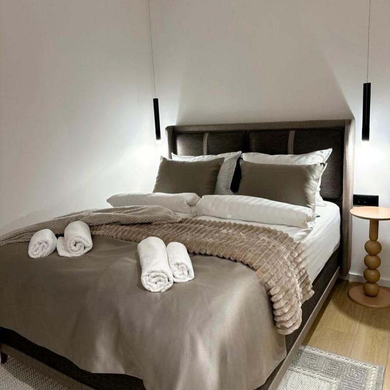 Four Elements Apartments - Deluxe One-Bedroom Apartment with City View - 7
