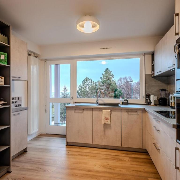 À quelques pas du Lac Leman - Appartement 2 Chambres - Vue sur Lac - 16