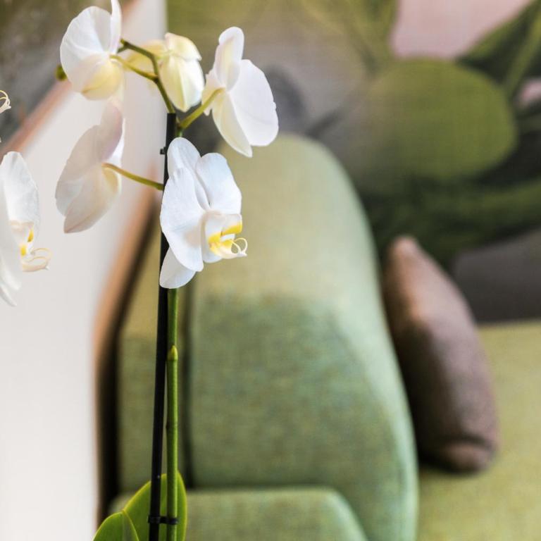 Alba Palace Luxury Apartments - Appartamento con 1 Camera da Letto - 16