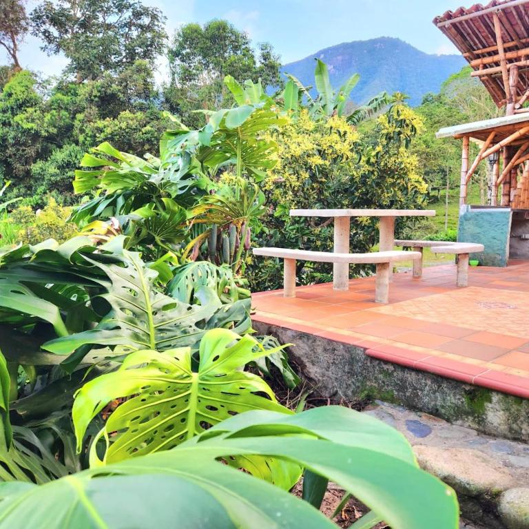 Mi Paraiso Escondido, Tamesis - Apartamento de 1 dormitorio - 36