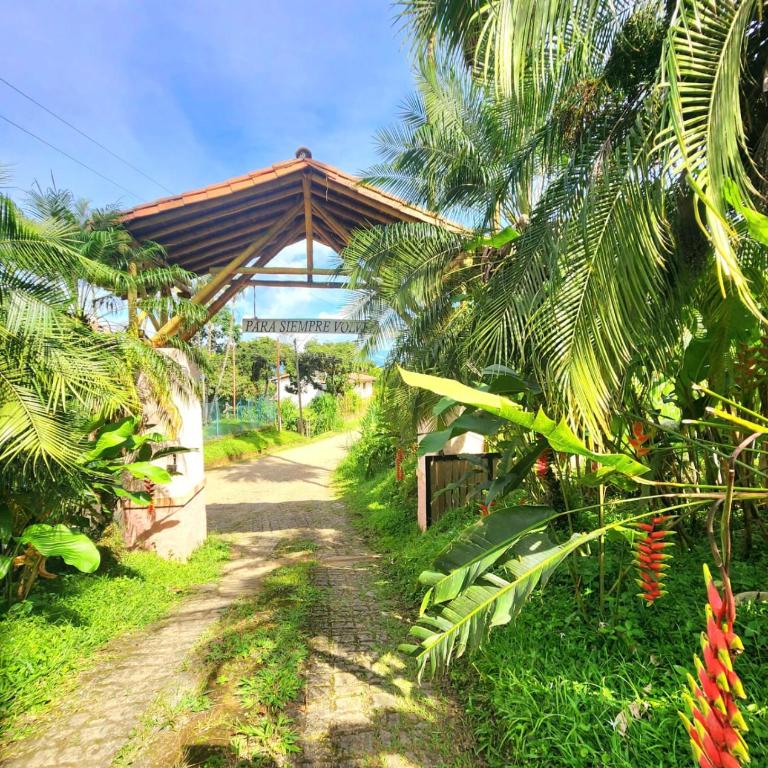 Mi Paraiso Escondido, Tamesis - Apartamento de 1 dormitorio - 37