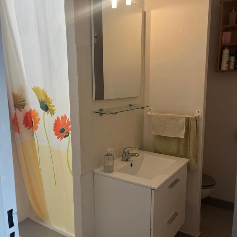 Appartement T2 tout équipé - Appartement 1 Chambre - 10