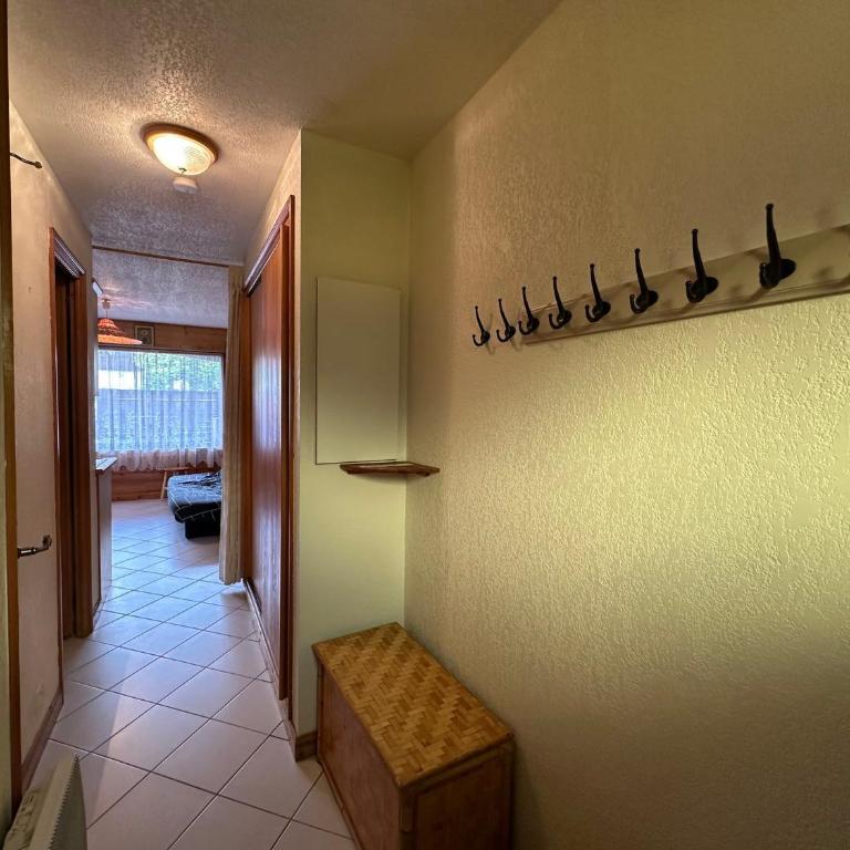 Appartement 4 pers, Morillon, terrasse - Appartement 1 Chambre - 15