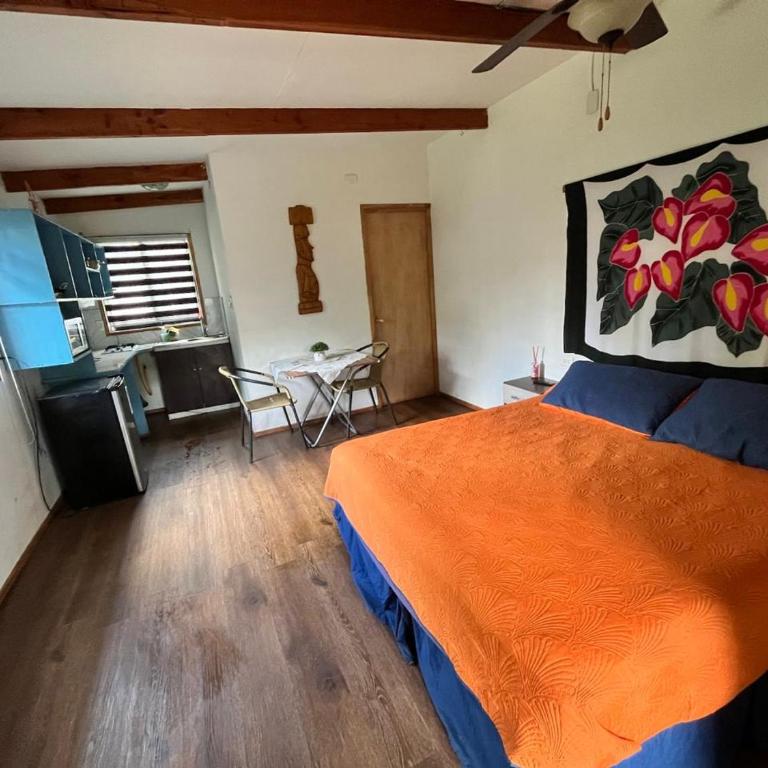 Henua Roa - One-Bedroom Apartment - 2