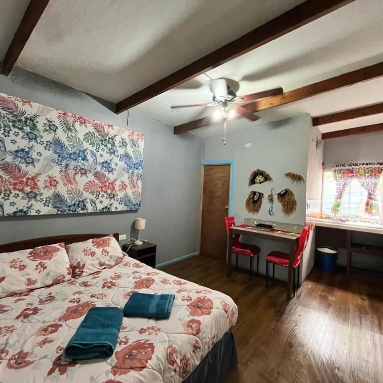 Henua Roa - One-Bedroom Apartment - 12