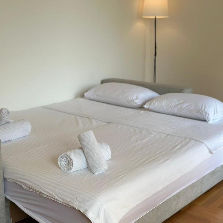 Sunny Studio Podgorica - Apartman sa 1 Spavaćom Sobom - 25