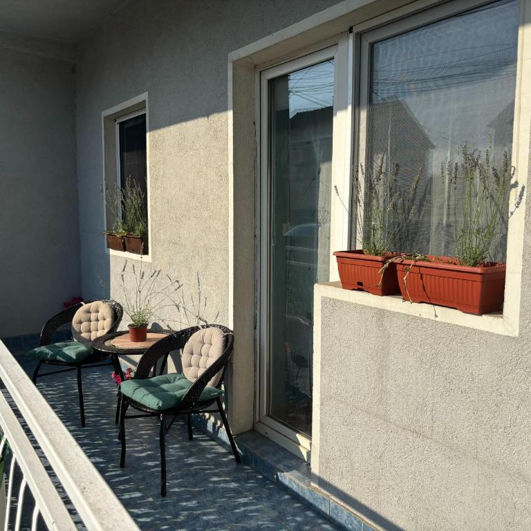 Urban Yard Retreat - One-Bedroom Apartment - 4