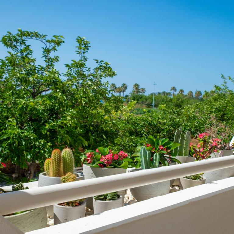 Noray Bright Beachfront 3BR - Terrace, Prime Spot - Apartamento de 3 dormitorios - 27