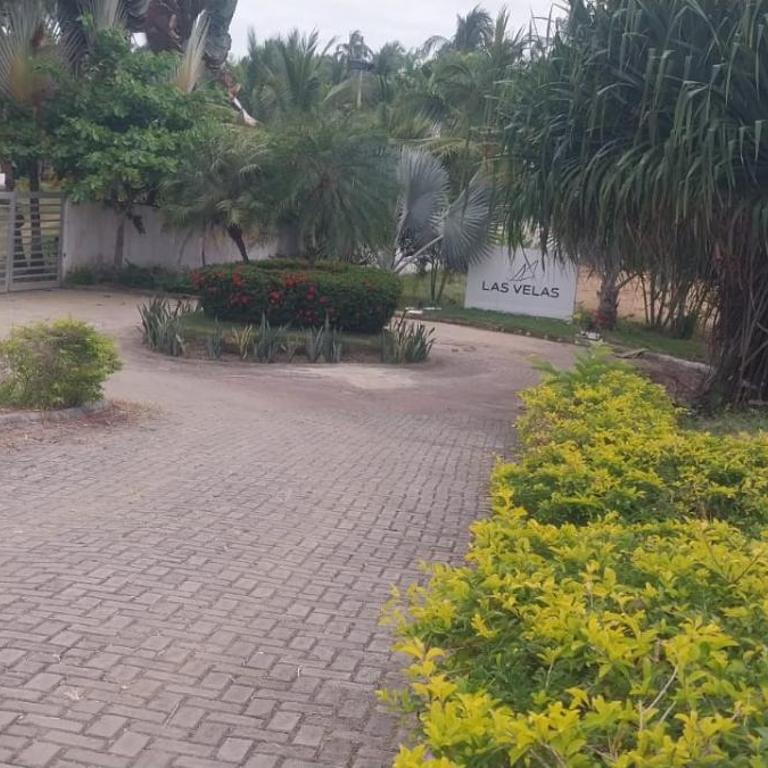 Departamento en la playa Cojimies - Apartamento con 3 dormitorios - Frente al océano - 36