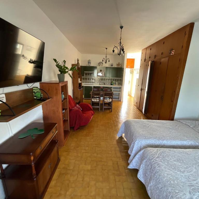 Trebol 1 - Apartamento Estudio - 11