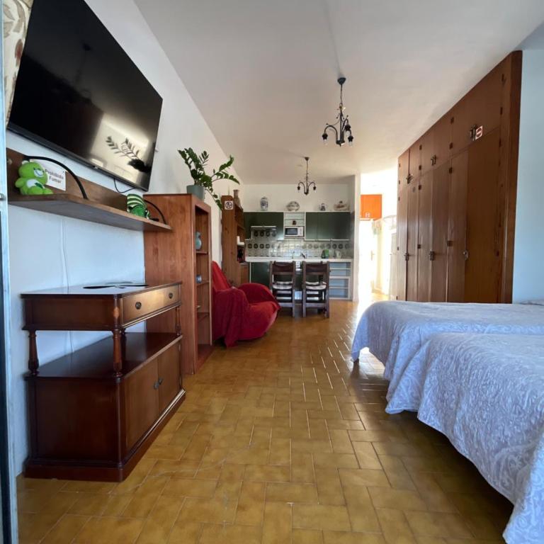 Trebol 1 - Apartamento Estudio - 13