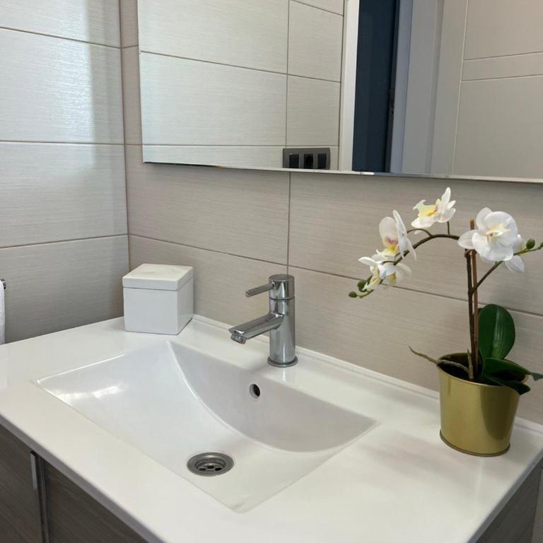 Apartamento Celma - Apartamento - 4