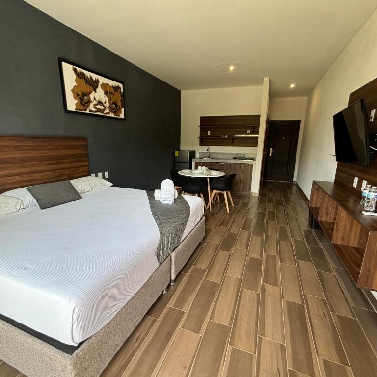 Lofts Terra Nuevo Vallarta - Estudio Deluxe con cama grande - 6