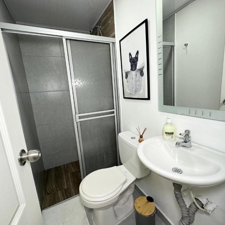 Hermoso Apartamento Ubicación Excepcional - Apartamento de 1 dormitorio - 26