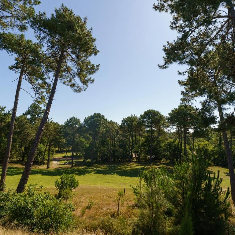 MAISON CHAPRON Villa de standing avec piscine, calme et golf à Biscarrosse - Villa - 15