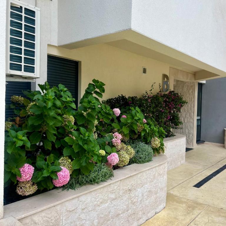 Lavender Apartment - Close to the Beach - Private Garage Parking - One-Bedroom Apartment - 25