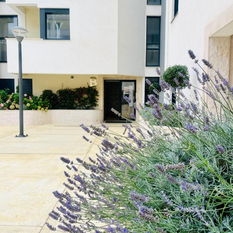 Lavender Apartment - Close to the Beach - Private Garage Parking - One-Bedroom Apartment - 24