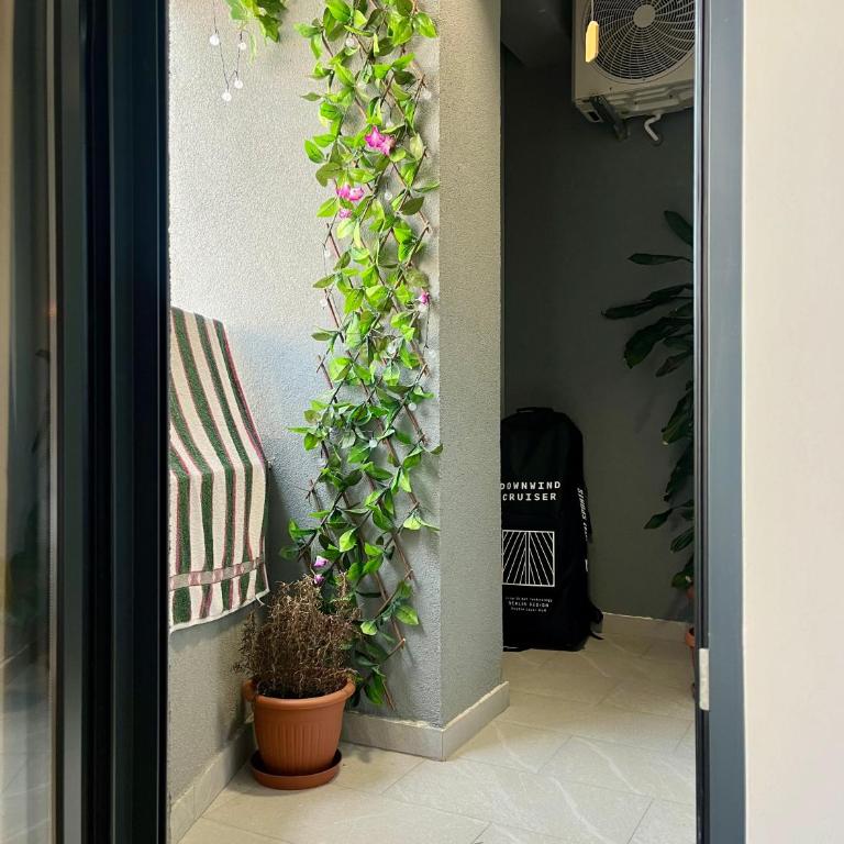 Lavender Apartment - Close to the Beach - Private Garage Parking - One-Bedroom Apartment - 14