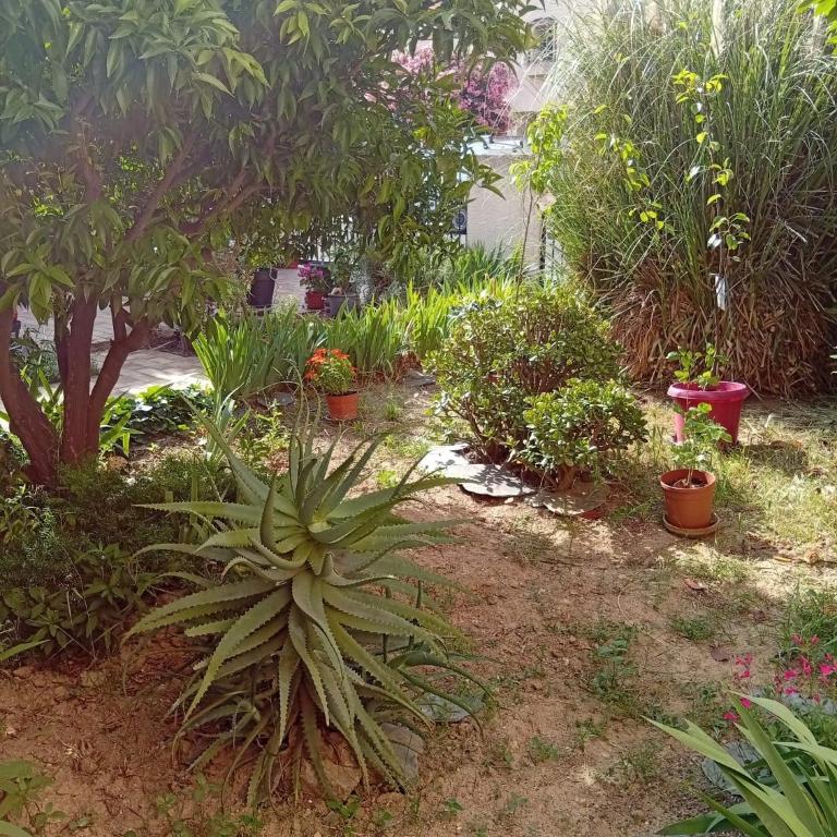 Appartement Maison Perpignan - Appartement 2 Chambres - 8