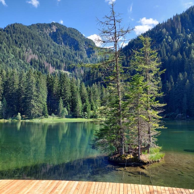 Philia Dolomiti, Folgarida - Apartment mit 2 Schlafzimmern und Bergblick - 53