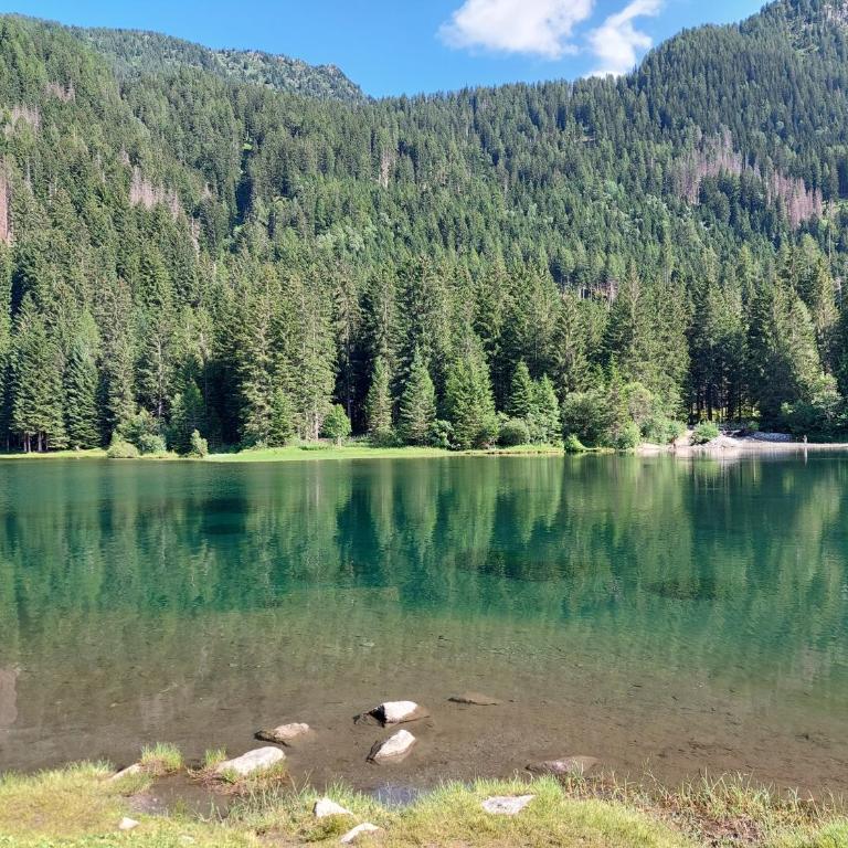 Philia Dolomiti, Folgarida - Apartment mit 2 Schlafzimmern und Bergblick - 55
