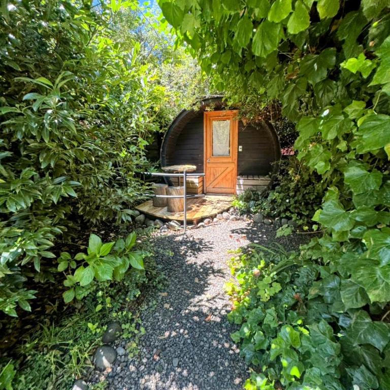 Soley Hostel - Bungalow with Garden View - 6
