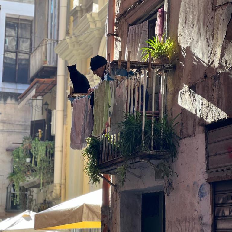 Scio' apartment-centro storico- - Appartamento con 3 Camere da Letto - 2