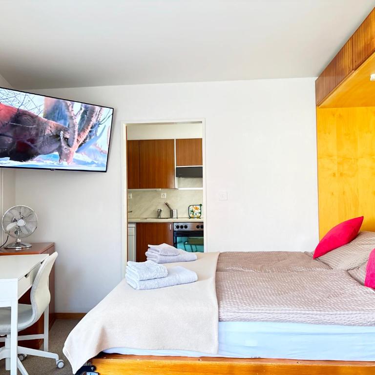 Bright apartment close to center - Appartement 1 Chambre - 4