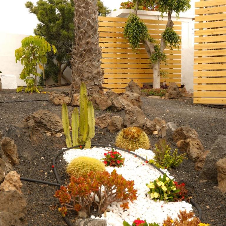 Oasis Dunas Corralejo - Apartamento de 2 dormitorios - 3