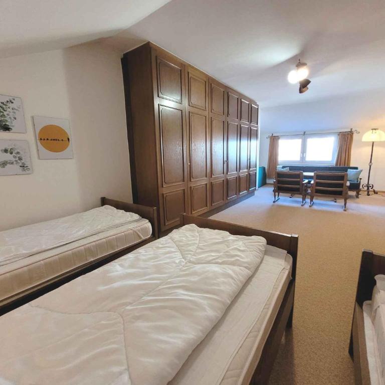 Apartments in Bad Mitterndorf - Steiermark 41123 - Apartment - 20