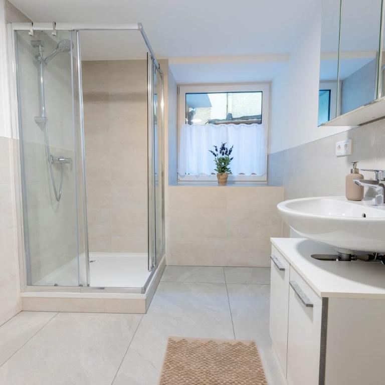 Ferienwohnungen Traunblick & Salzweg - Apartment mit 2 Schlafzimmern - 4