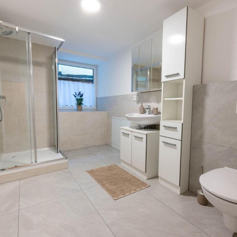 Ferienwohnungen Traunblick & Salzweg - Apartment mit 2 Schlafzimmern - 16