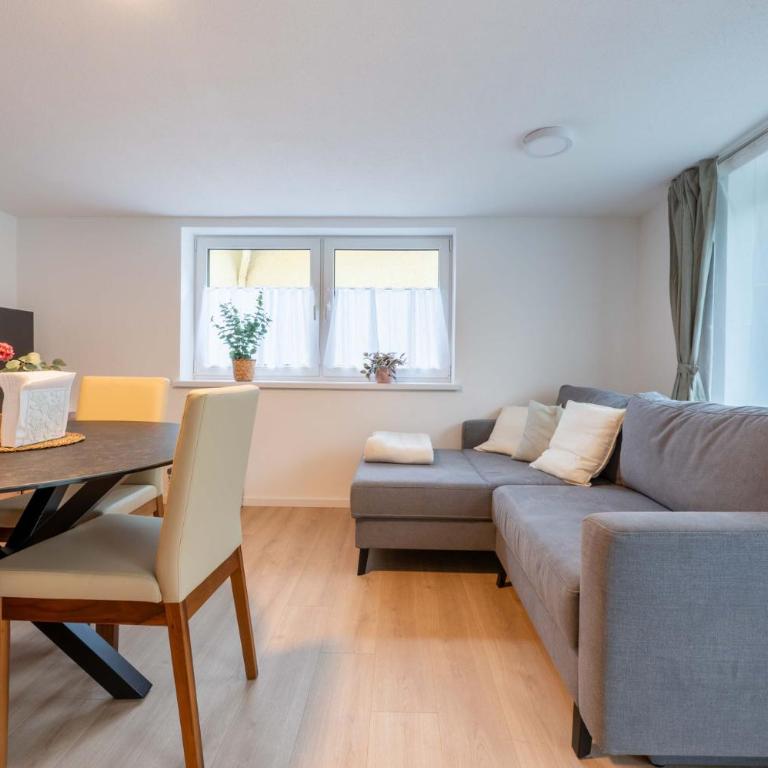 Ferienwohnungen Traunblick & Salzweg - Apartment mit 2 Schlafzimmern - 20