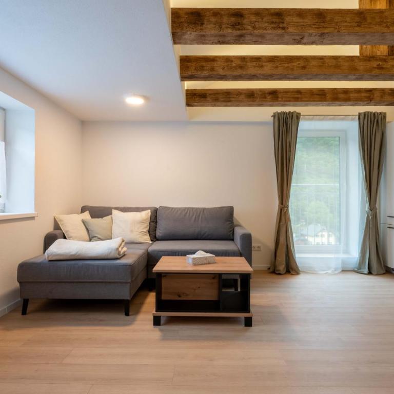 Ferienwohnungen Traunblick & Salzweg - Apartment mit 1 Schlafzimmer - 8