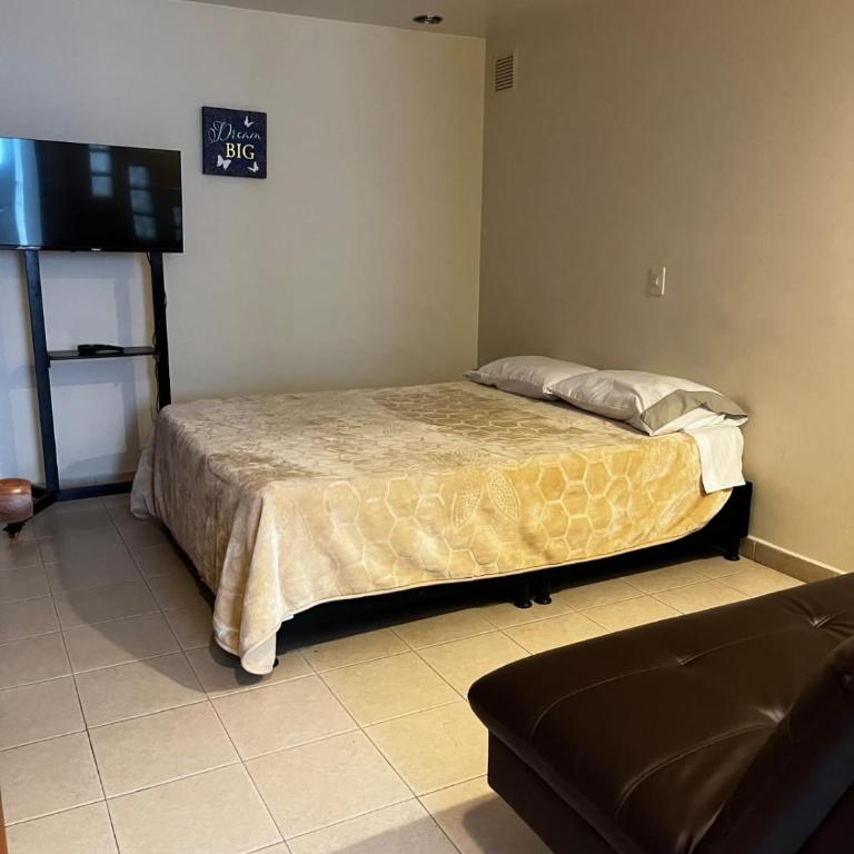 Exclusivo apartamento bien ubicado - Apartamento de 1 dormitorio - 3
