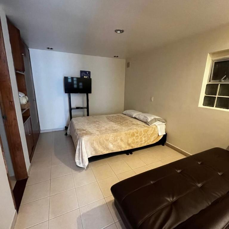 Exclusivo apartamento bien ubicado - Apartamento de 1 dormitorio - 4